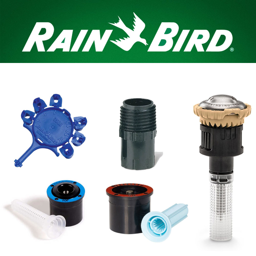 Rainbird