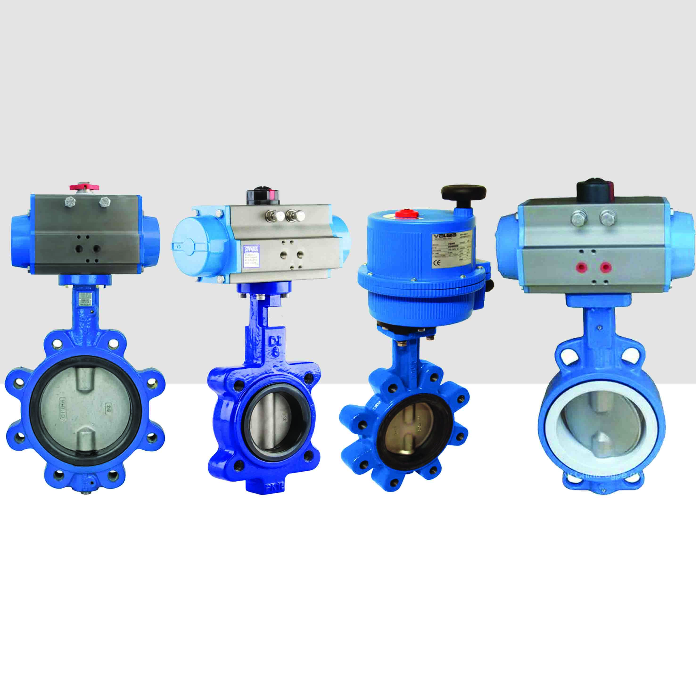 Butterfly Valves