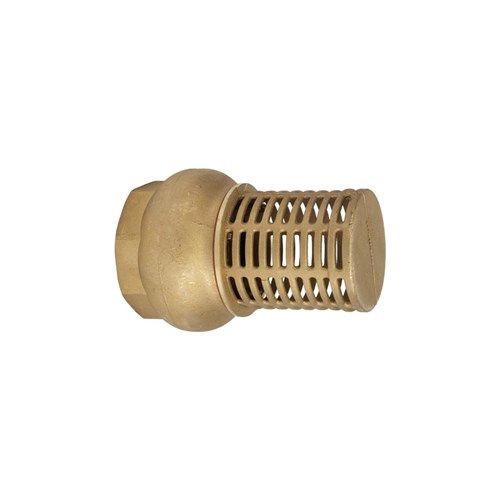 BRASS FOOT VALVE - Brass Seat x BSP Female