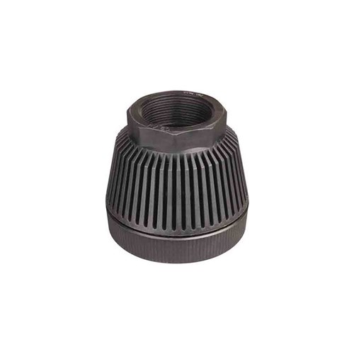 NG FOOT VALVE - BSP