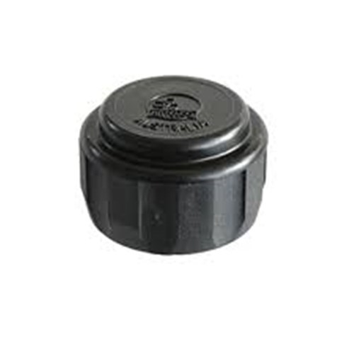 LDPE BLANKING NUT - BSPF