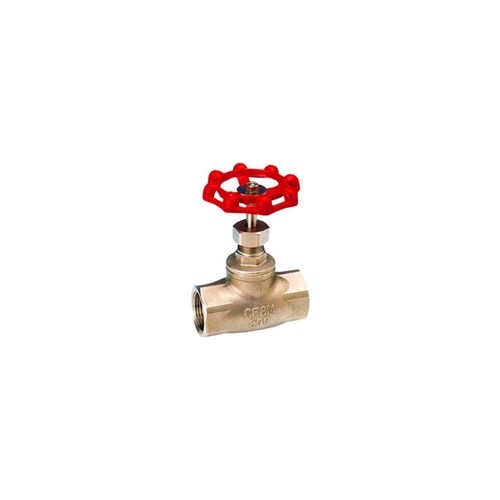 STAINLESS STEEL 316 GLOBE VALVE - BSP Female, PTFE